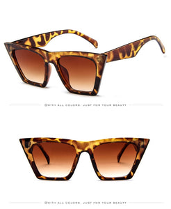 Retro Square Cat Eye Sunglasses